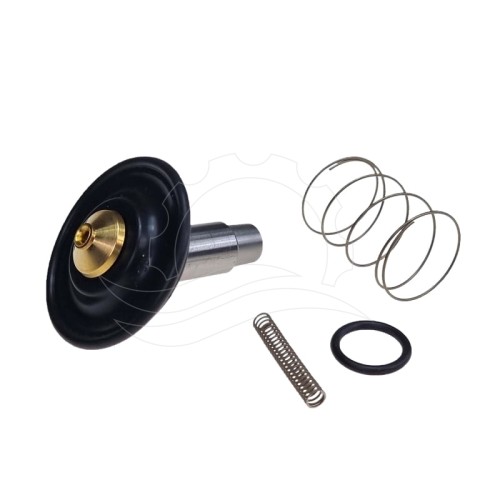 Kpl. napr. elektrozaworu Bürkert 6213 0-10bar DN13 FKM MS DC