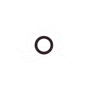 O-ring gniazda dyszy do piany R+M/Easywash FKM