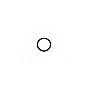 O-ring zaworu pompy Hawk NMT CW (11)