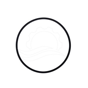 O-ring pokrywy dozownika Dosatron D25RE2 (J042)