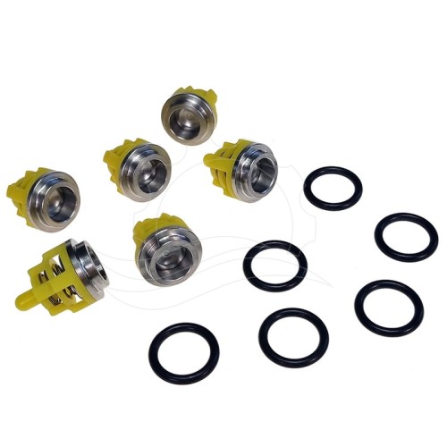 Zawory pompy Udor BCWC (Kit 43, 606143)