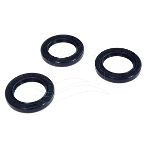 Uszczelniacze olejowe pompy Interpump (Kit 2)